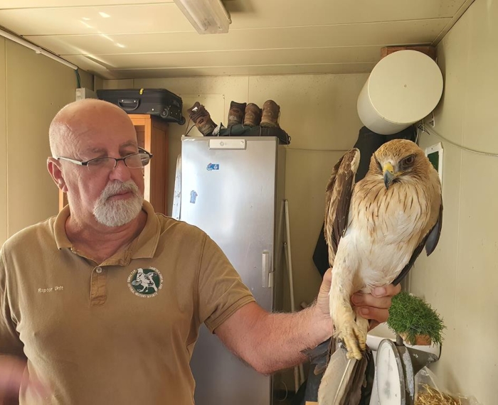 Vincent Robba with a rescued Booted Eagle.